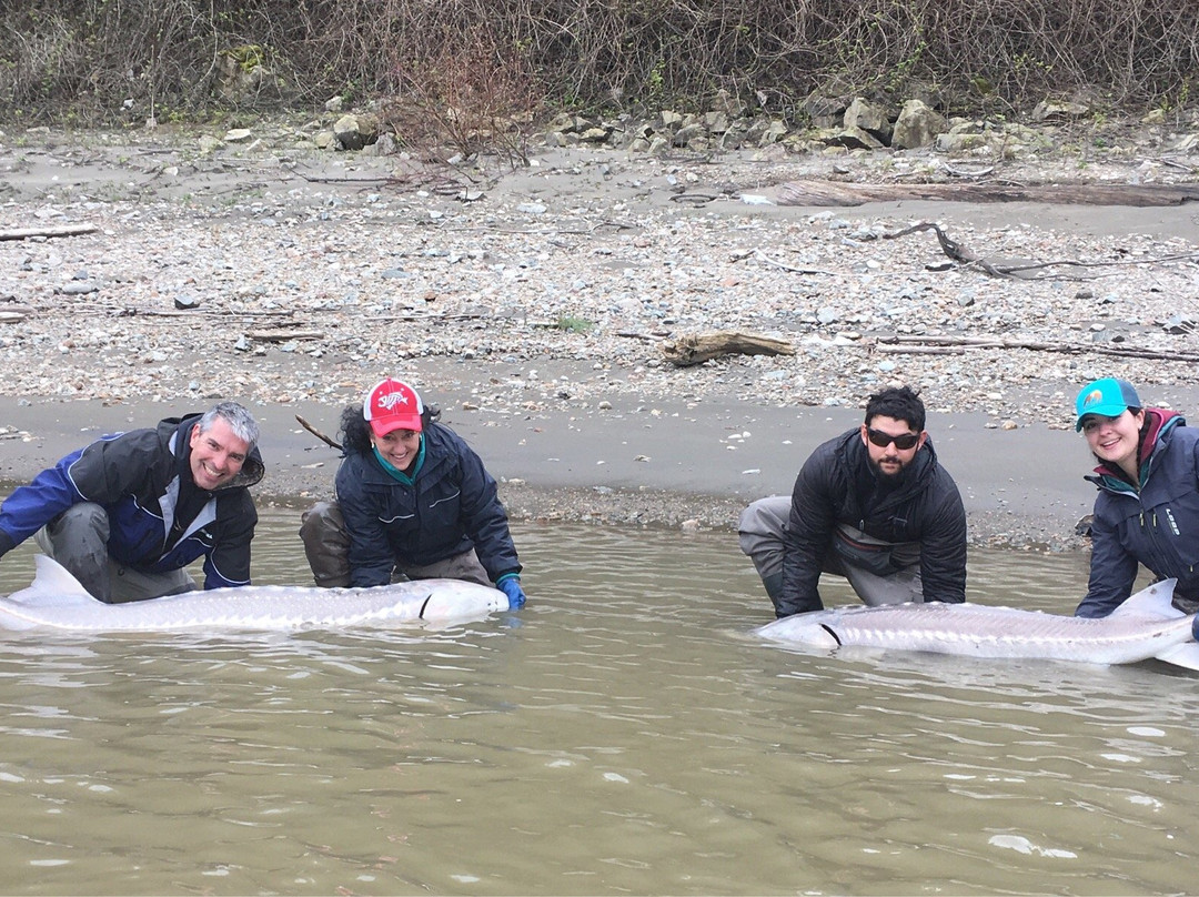 Mainlanders Sport Fishing-奇利瓦克必去景点