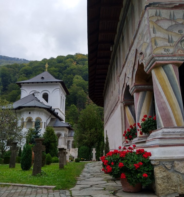 Lainici Monastery景点图片
