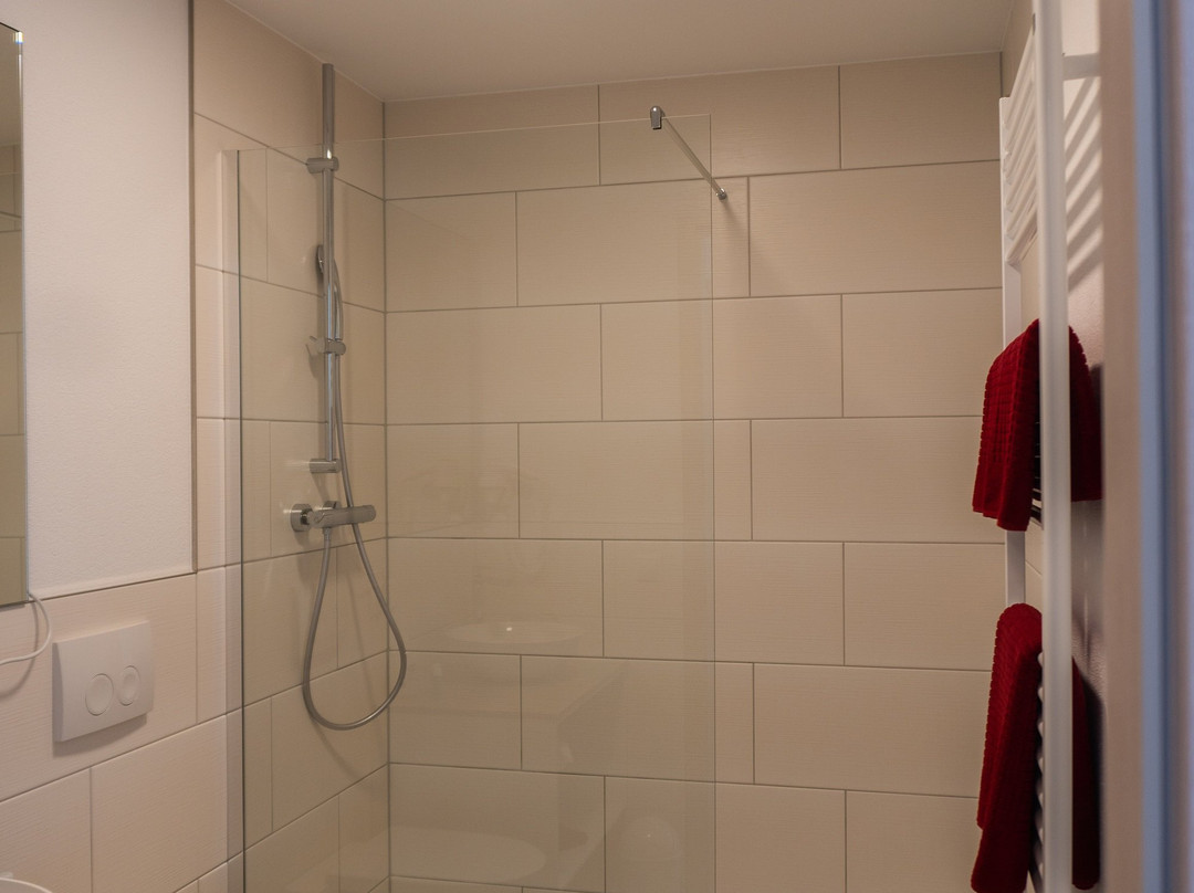 Pension Haas - Hotel am Turm主图