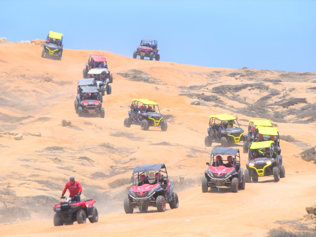 Amigos Activities-卡波圣卢卡斯必去景点