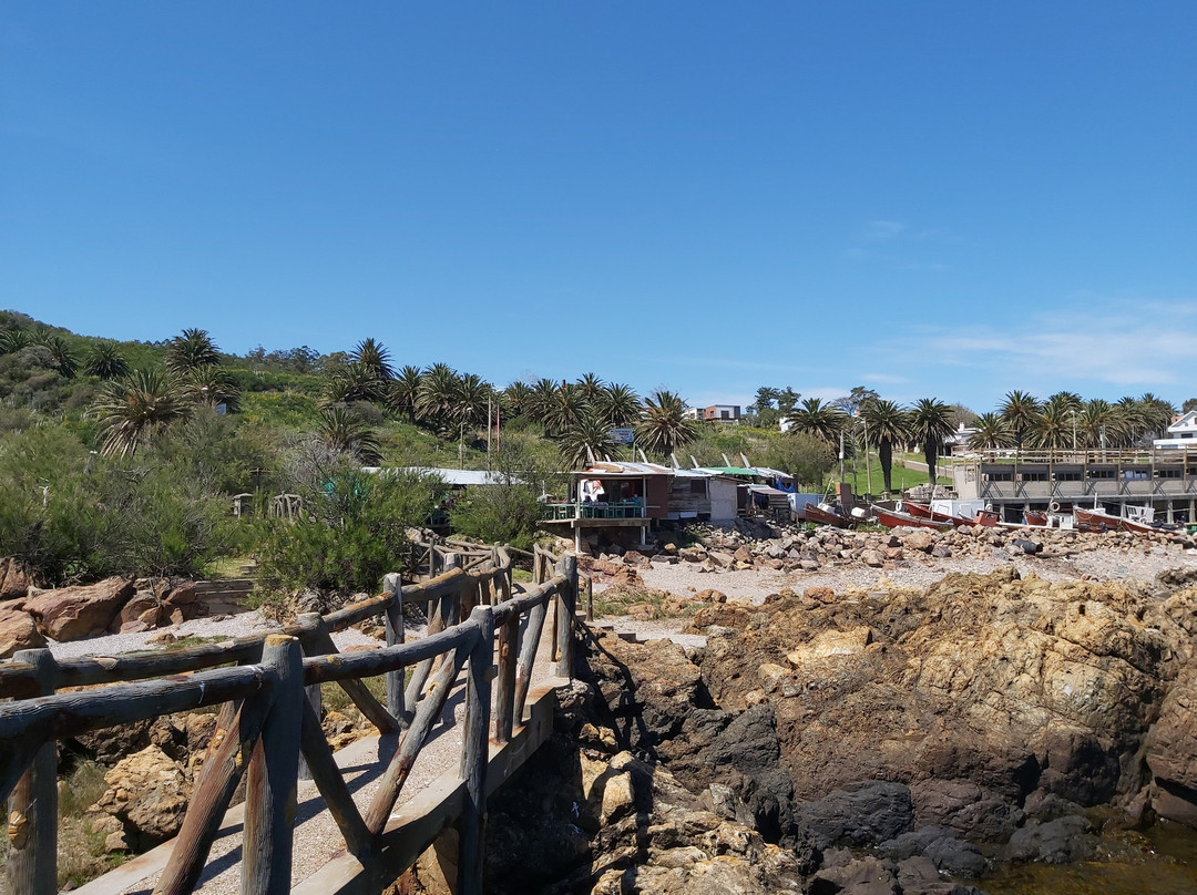 Muelle Pesquero Stella Maris-Piriapolis必去景点