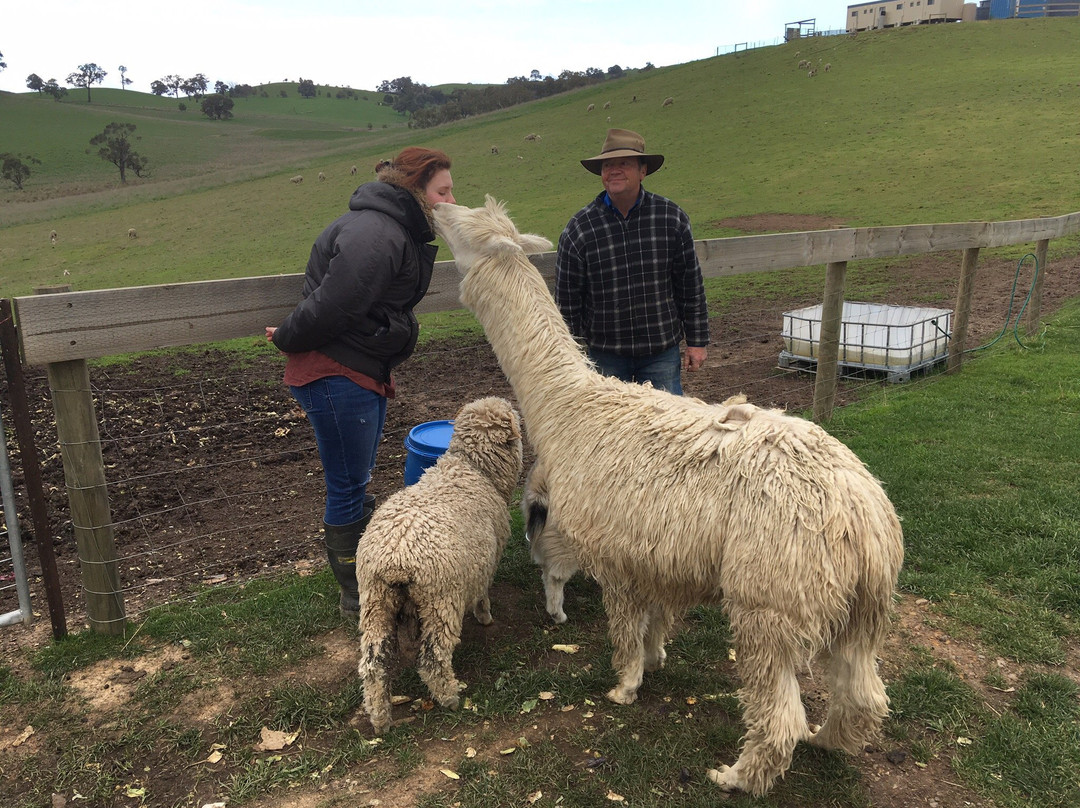 Wirraway Farm Stay主图