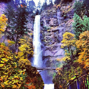 Oregon Tour Co.-波特兰必去景点