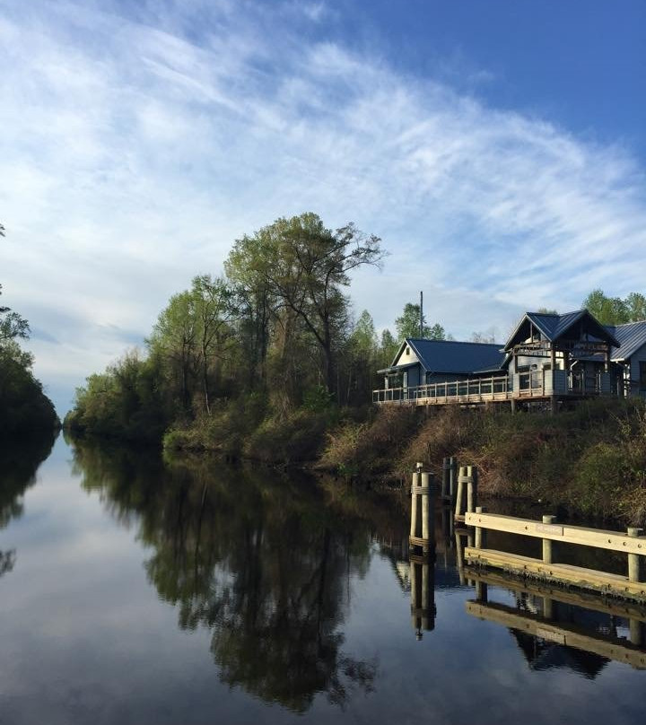 Dismal Swamp State Park景点图片