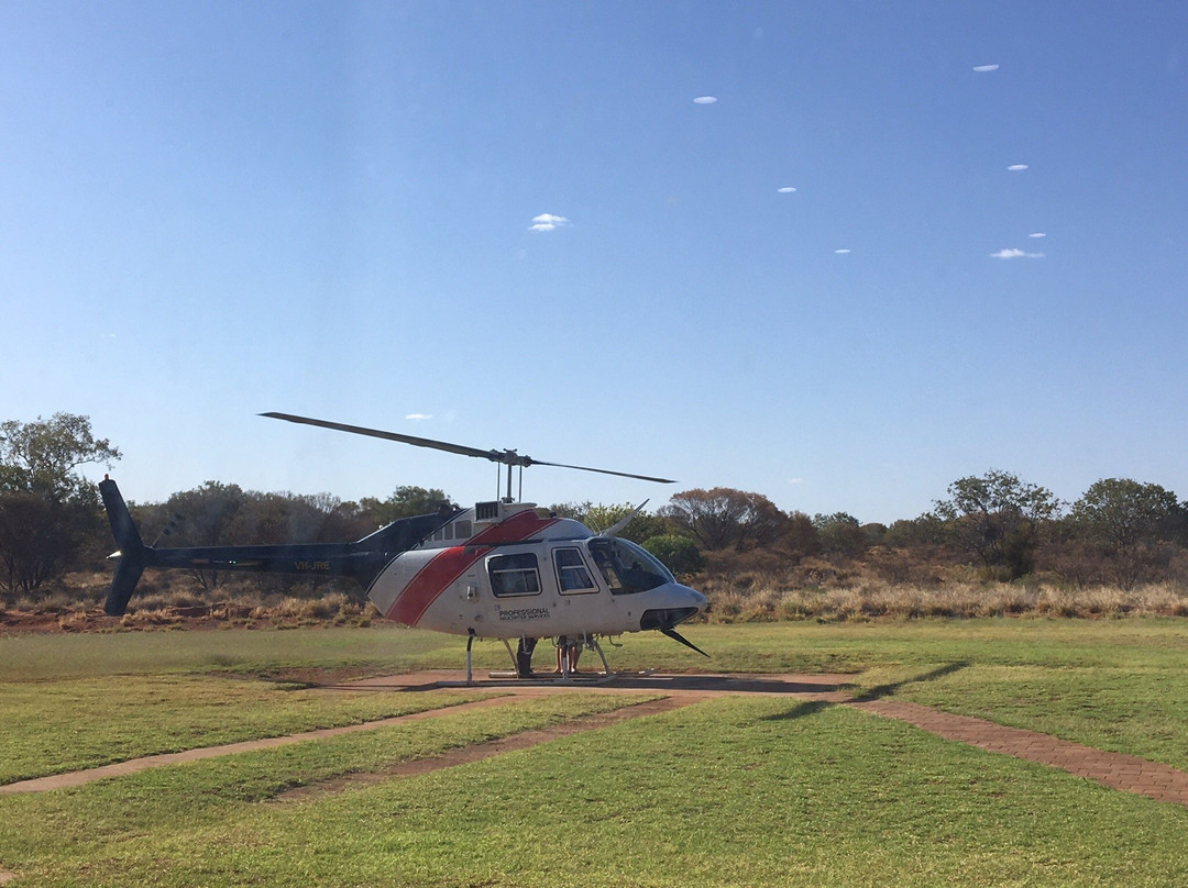 Professional Helicopter Services景点图片