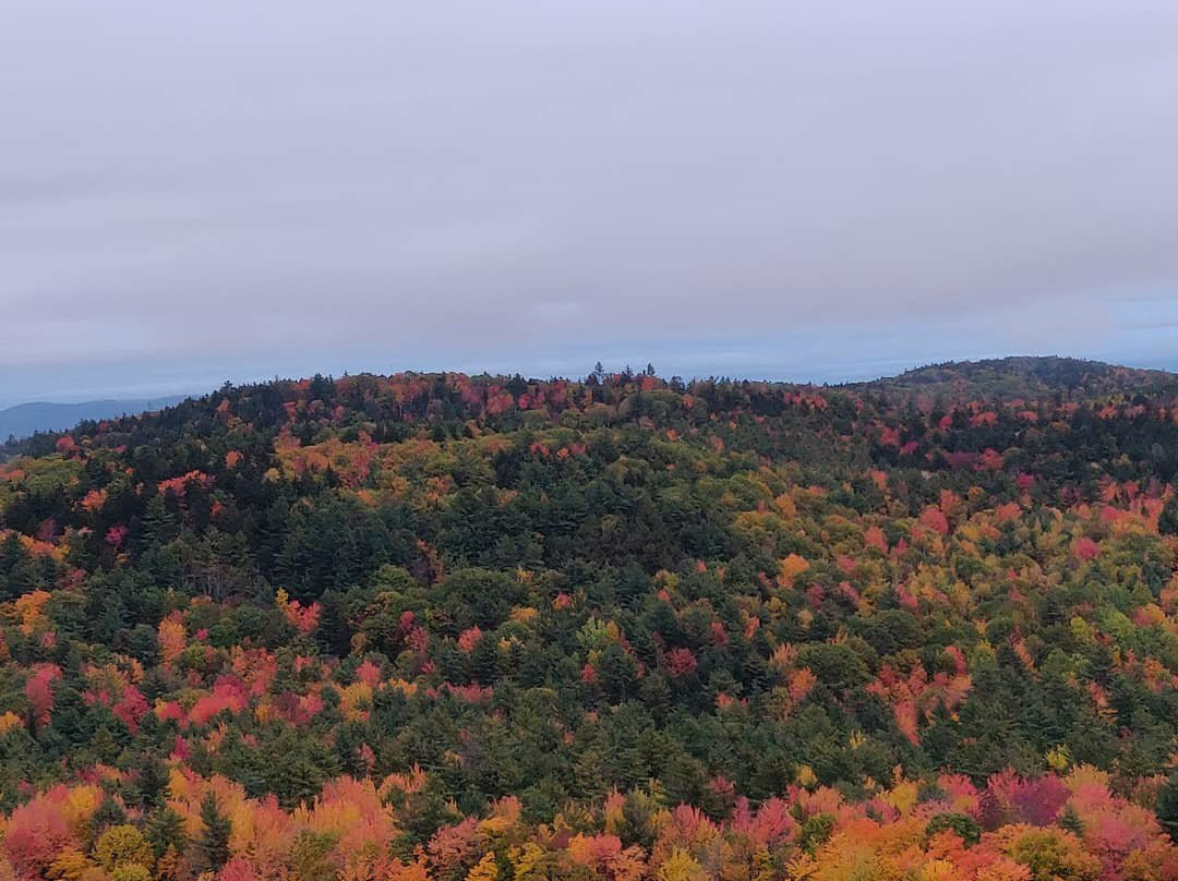 Foss Mountain Trail景点图片