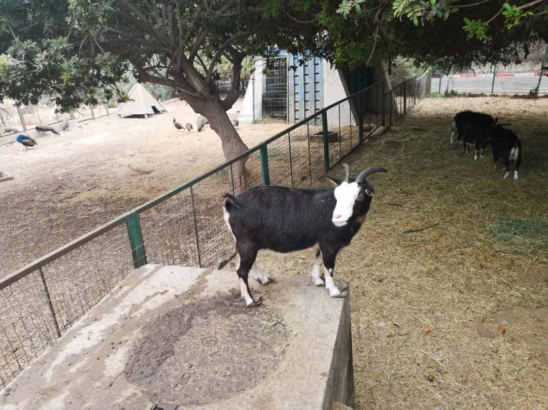 Agadir Birds Valley-Toundoute必去景点