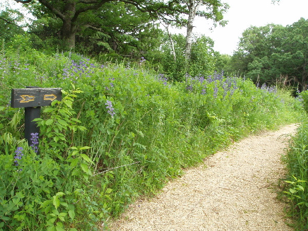 黄金谷旅游景点-Eloise Butler Wildflower Garden and Bird Sanctuary