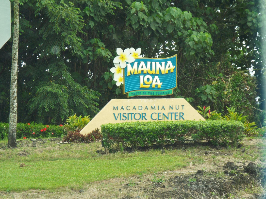 Mauna Loa Macadamia Nut Farm and Factory景点图片