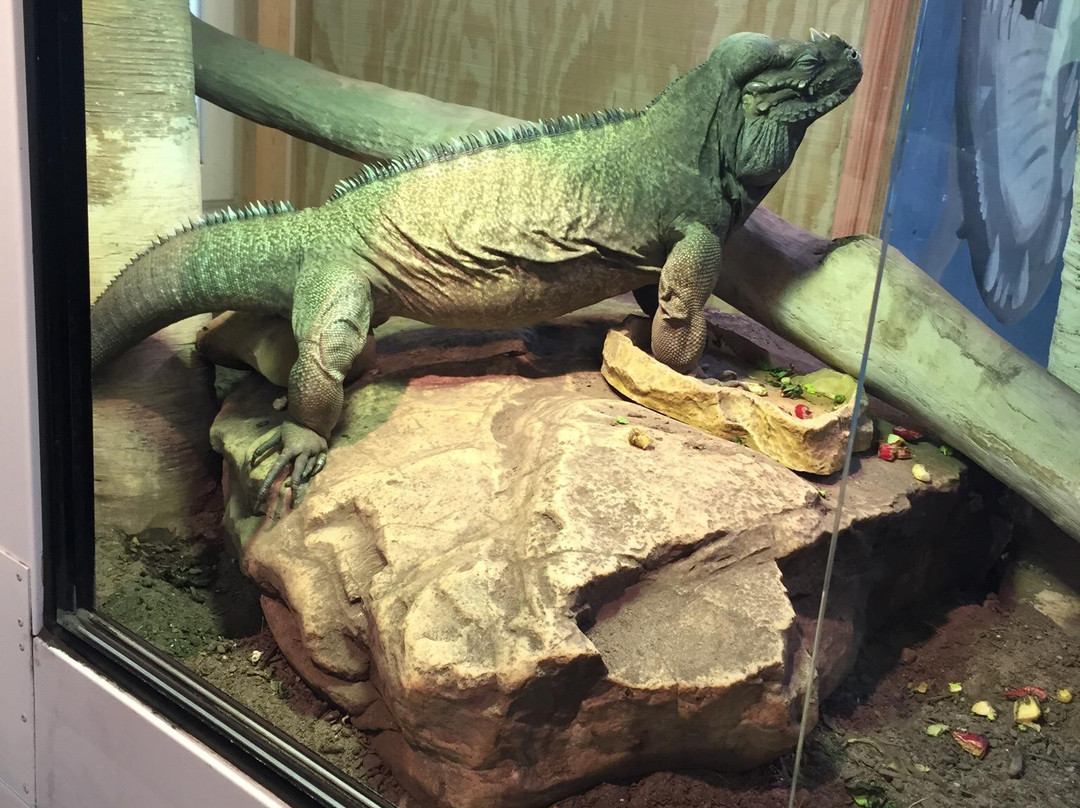 Wildlife Discovery Center