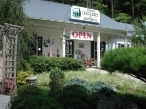 Clarkesville旅游景点-Burton Gallery