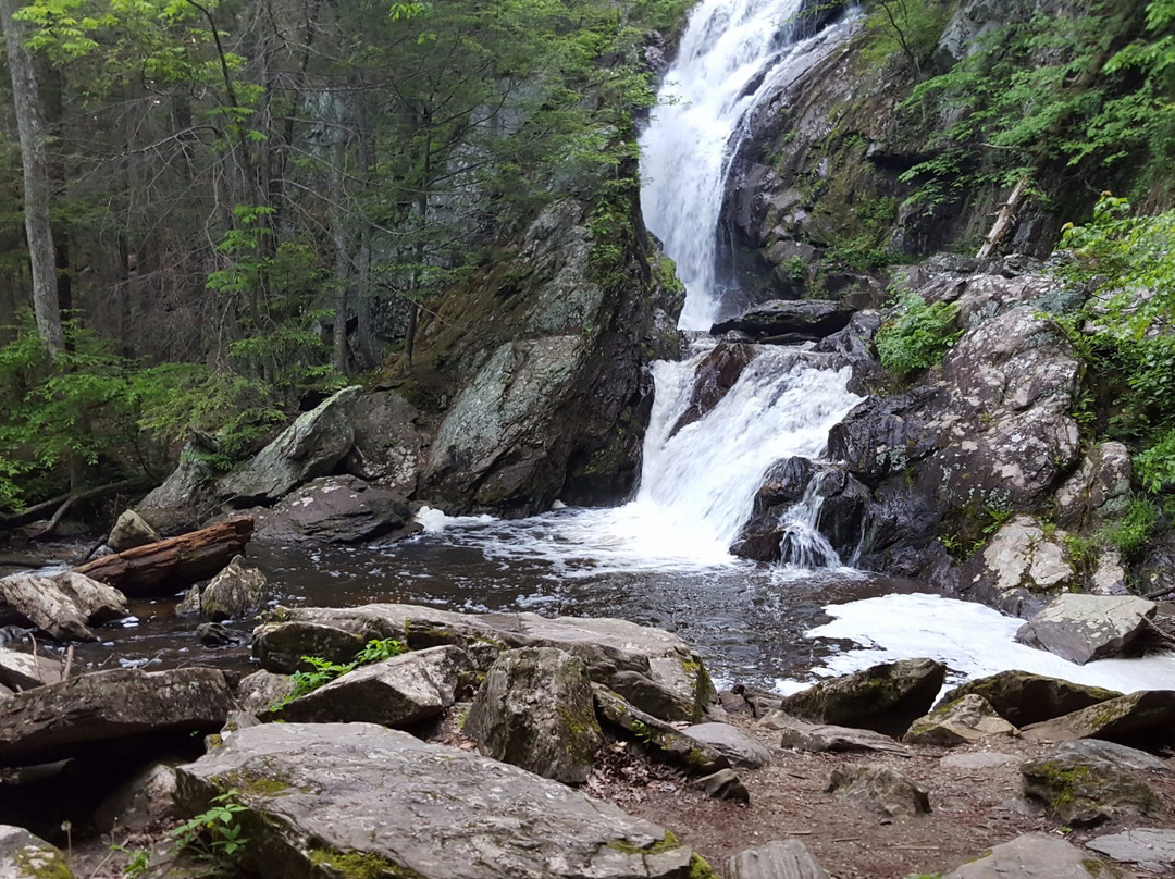 Campbell Falls State Park景点图片