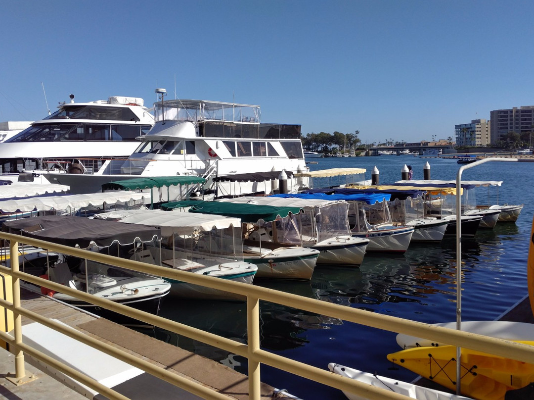 Newport Fun Tours