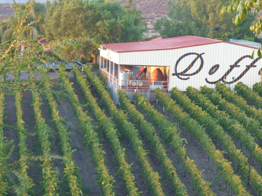 Doffo Winery景点图片