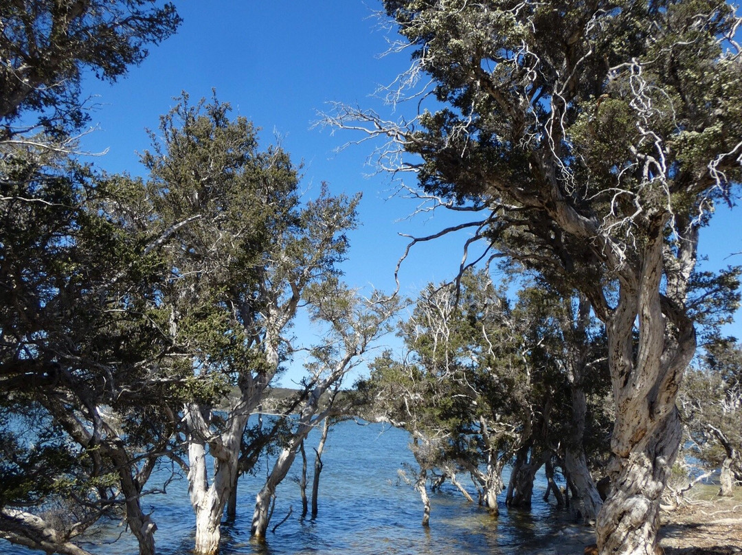 Stokes National Park景点图片