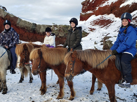 Reykjavik Riding Center-雷克雅未克必去景点
