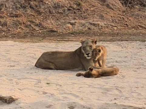 Time + Tide Luwi主图