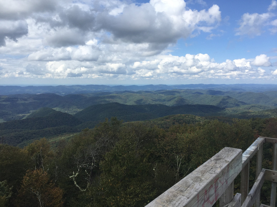 Elkins旅游景点-Monongahela National Forest