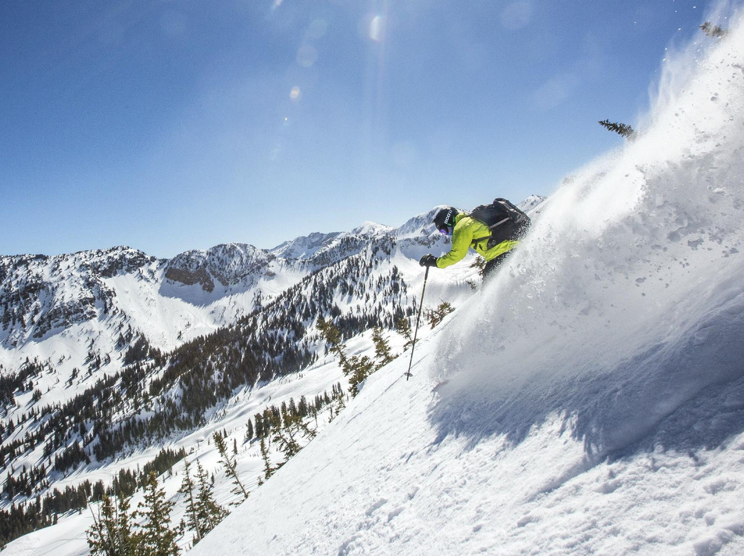 Powderbird-Alta必去景点