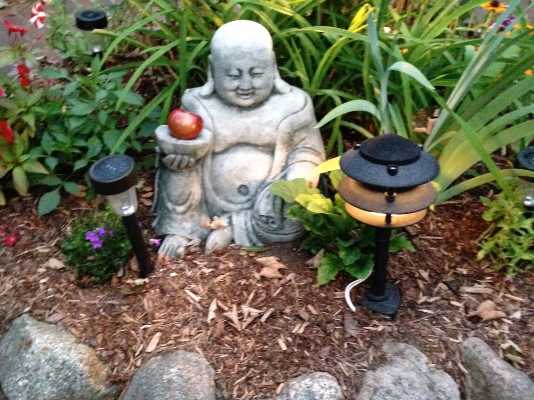 The Barnacle Inn主图