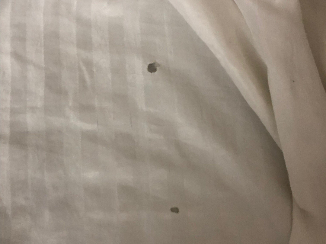 Hotel Royal Palace主图