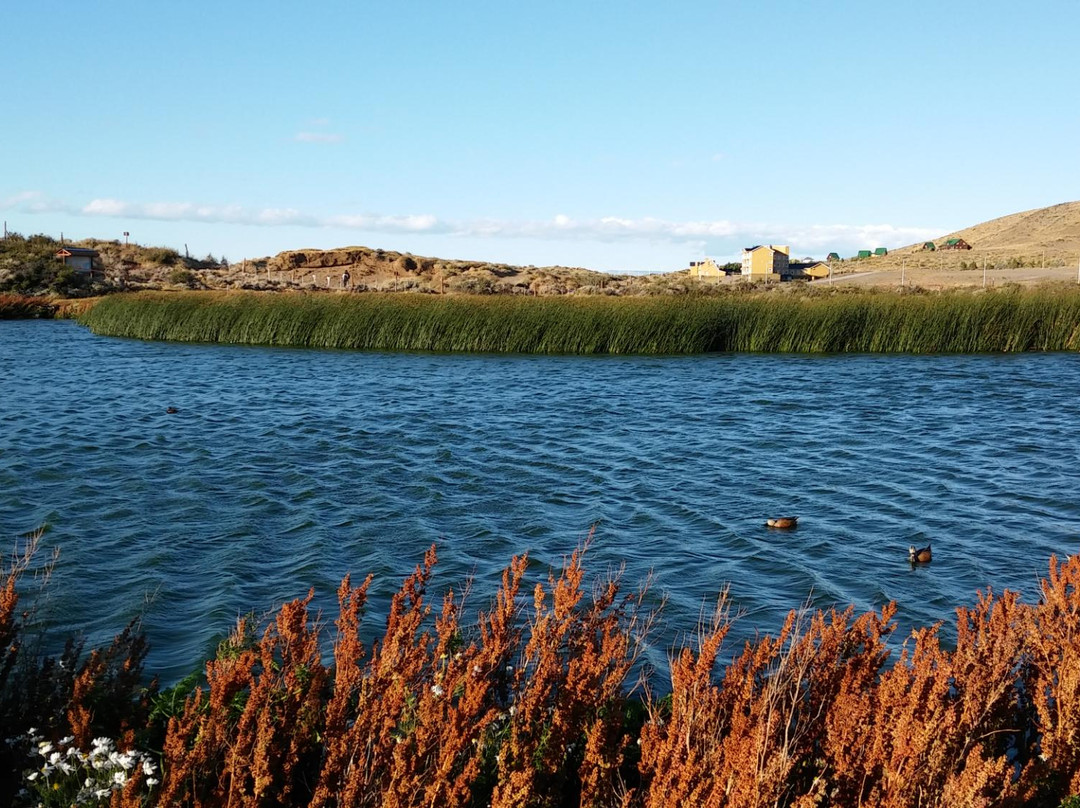 埃尔卡拉法特旅游景点-Laguna Nimez Nature Reserve