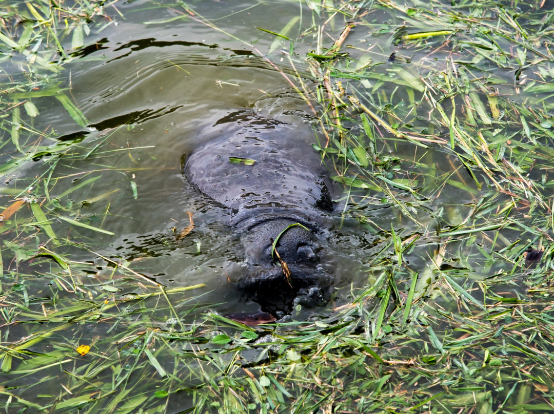 Guyana National Park景点图片