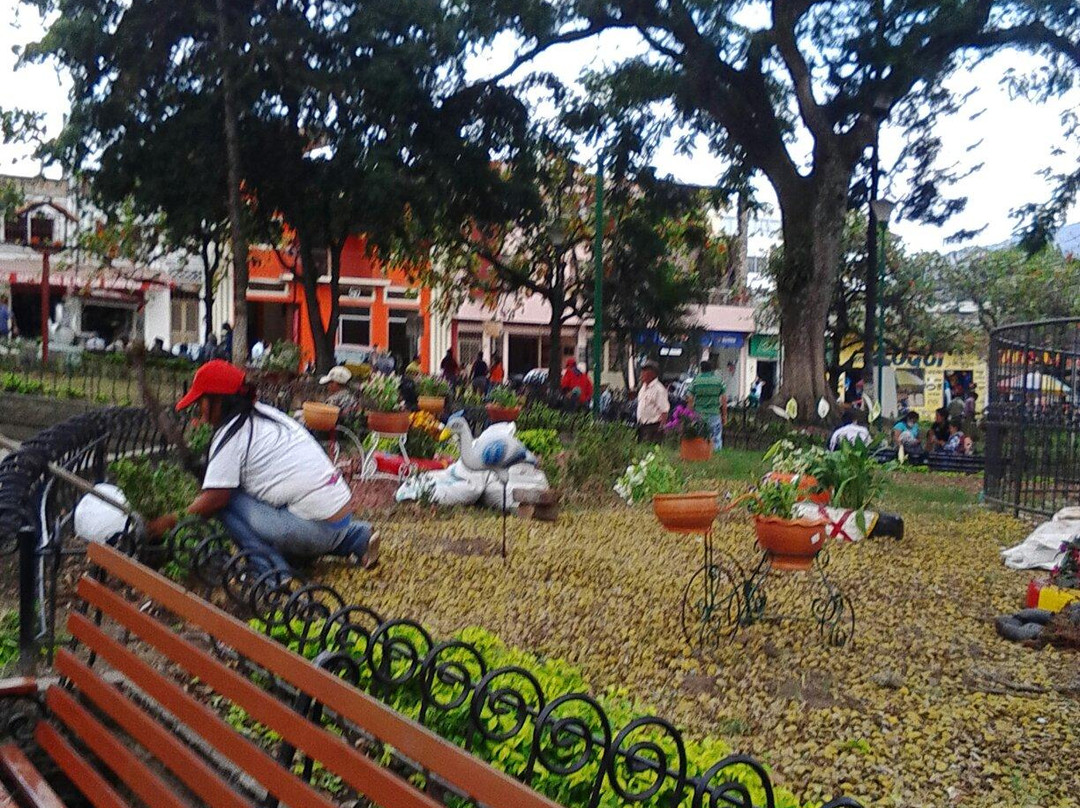 Plaza Garcia Rovira景点图片