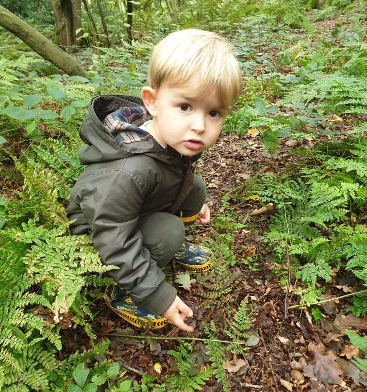 Askham Bog Nature Reserve景点图片