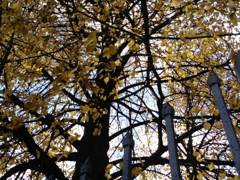 Krasnoye-na-Volge旅游攻略图片