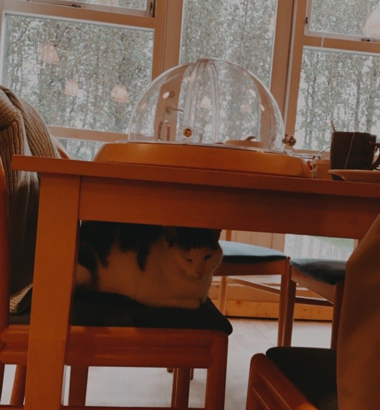 Hotel Hjarðarból主图