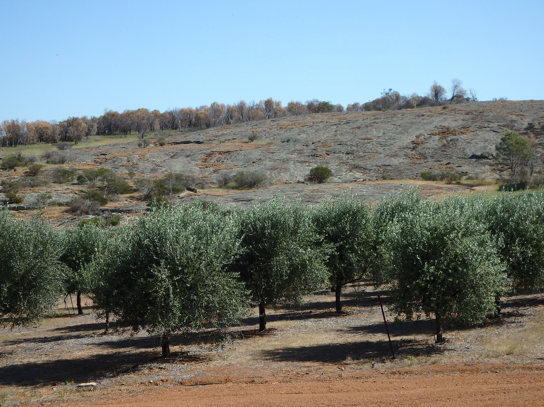 Toapin Rise Farm景点图片