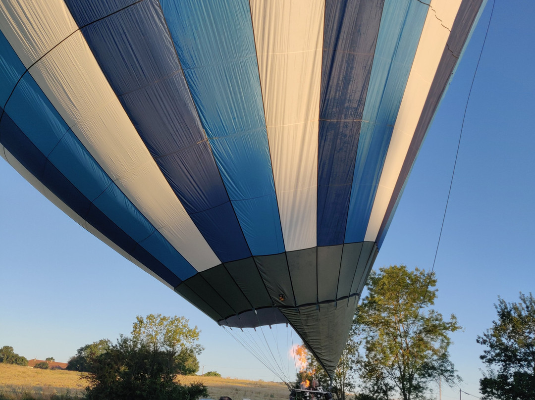 Montgolfières de Gascogne景点图片