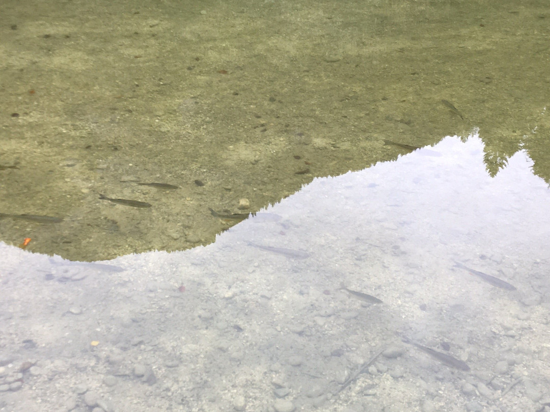 Stimmersee-Langkampfen必去景点