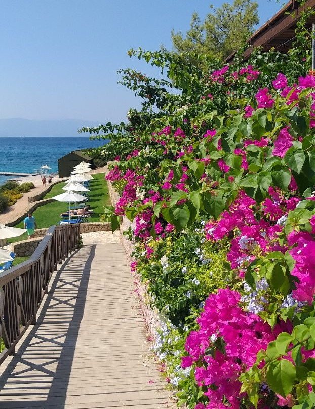 AKS Hinitsa Bay主图