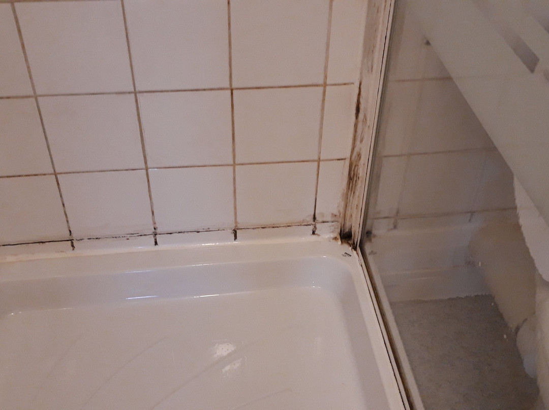 The Avenue Hotel主图