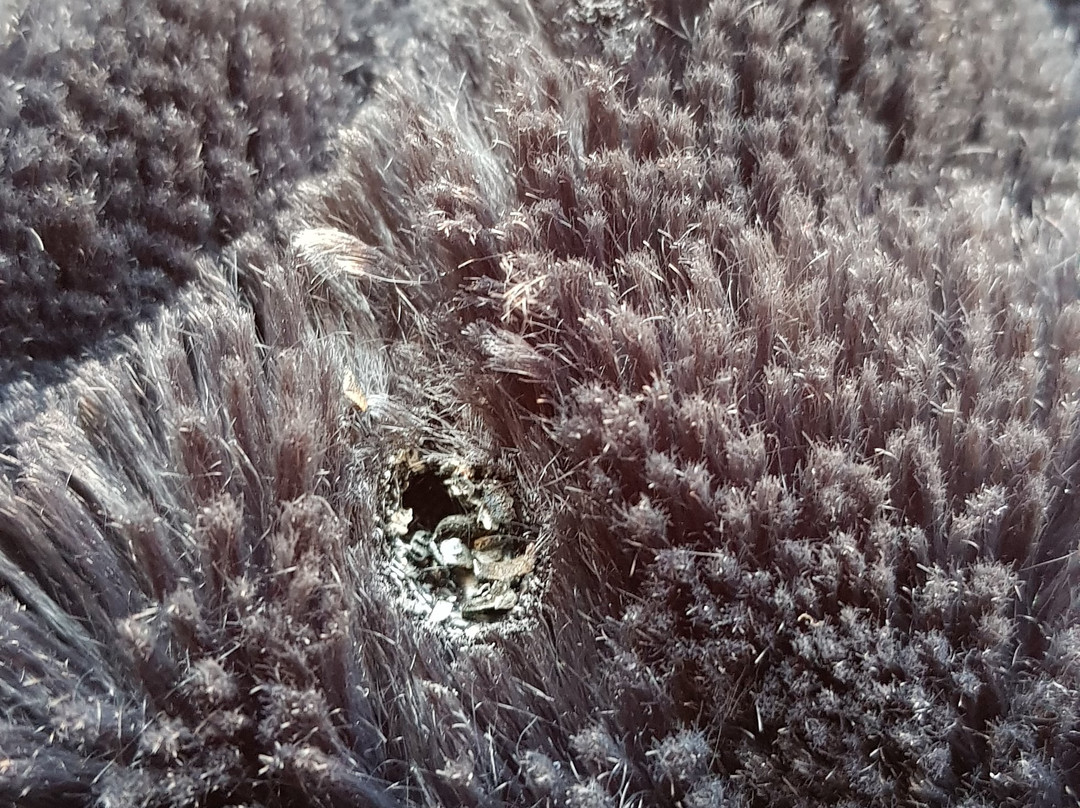 L'Ecrin de Vert主图