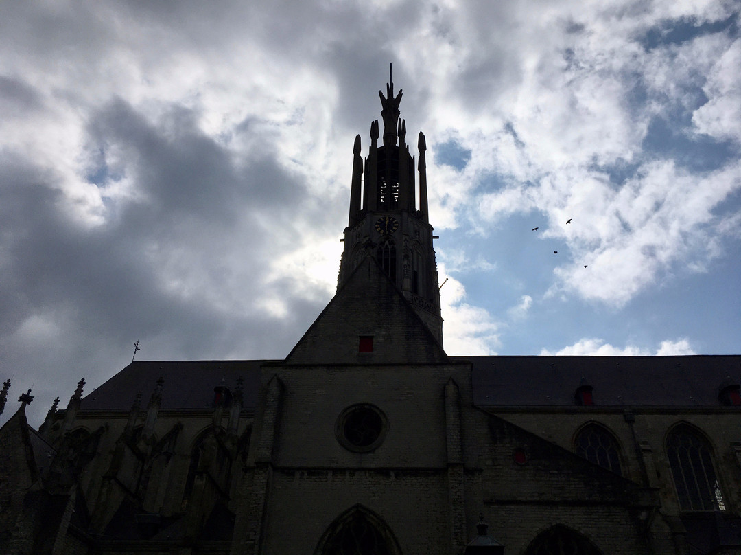 Basilica of St. Willibrord-Hulst必去景点