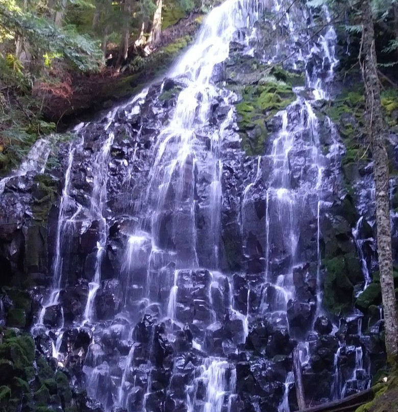 Ramona Falls Trail-Rhododendron必去景点