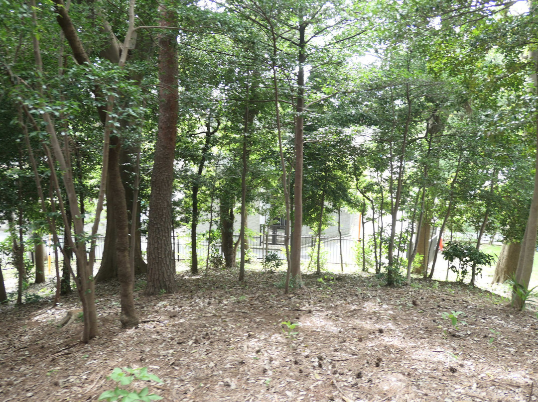 Kabutozuka Tomb-狛江市必去景点