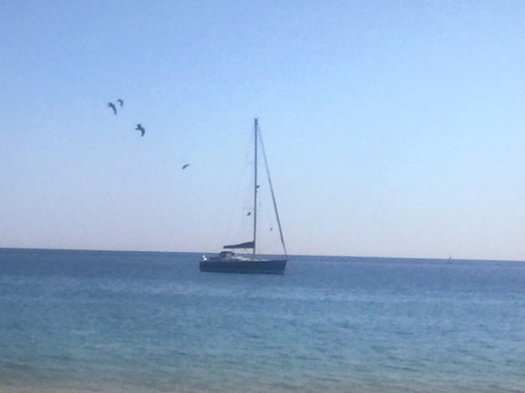 Praia do Ouro景点图片