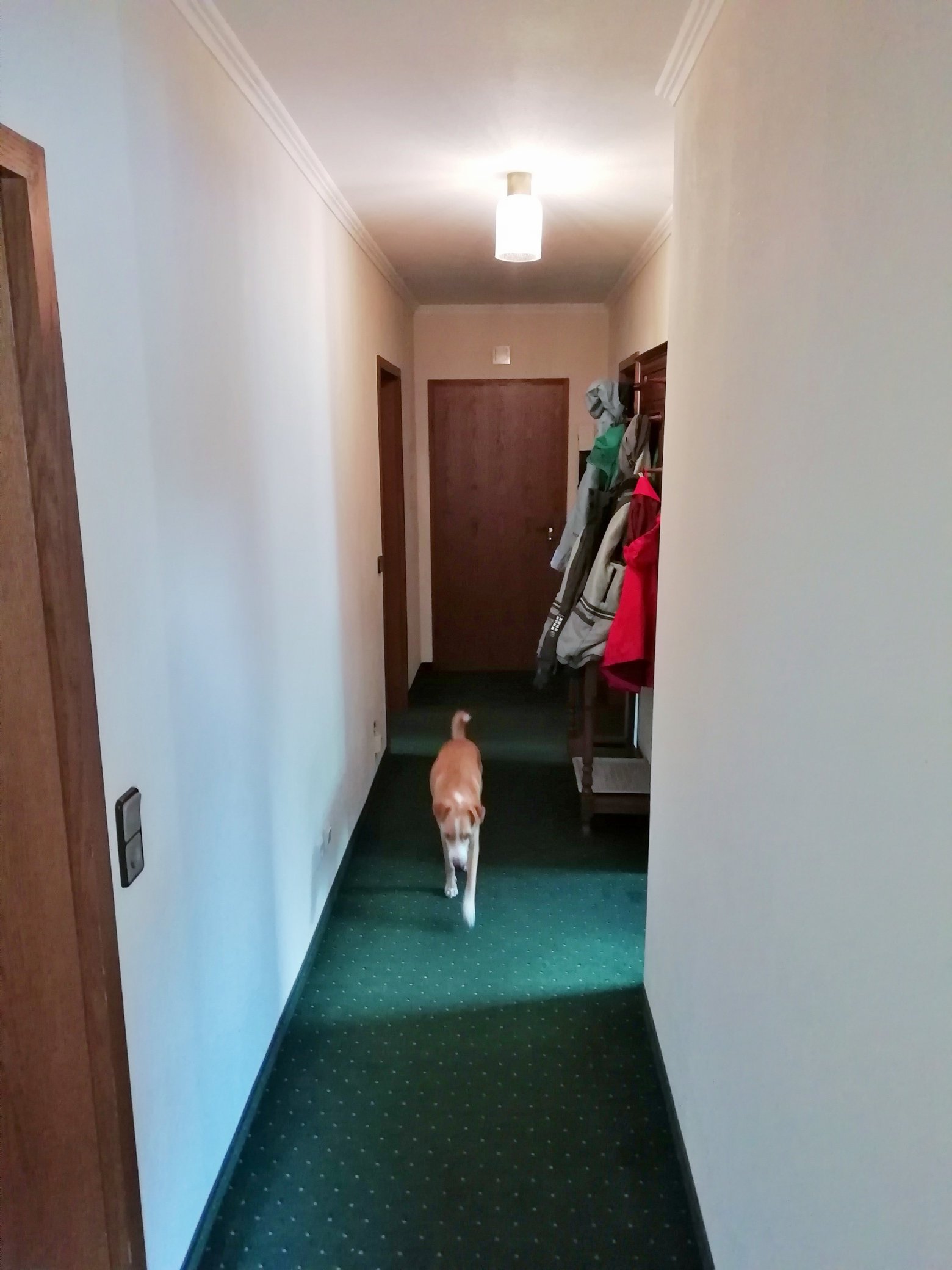 Kurpark Villa Olsberg-portrait