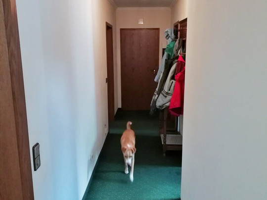 Kurpark Villa Olsberg主图