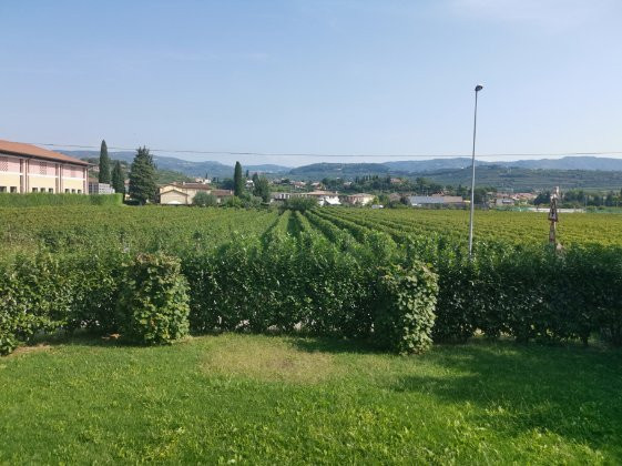 B&B Valpolicella 68主图