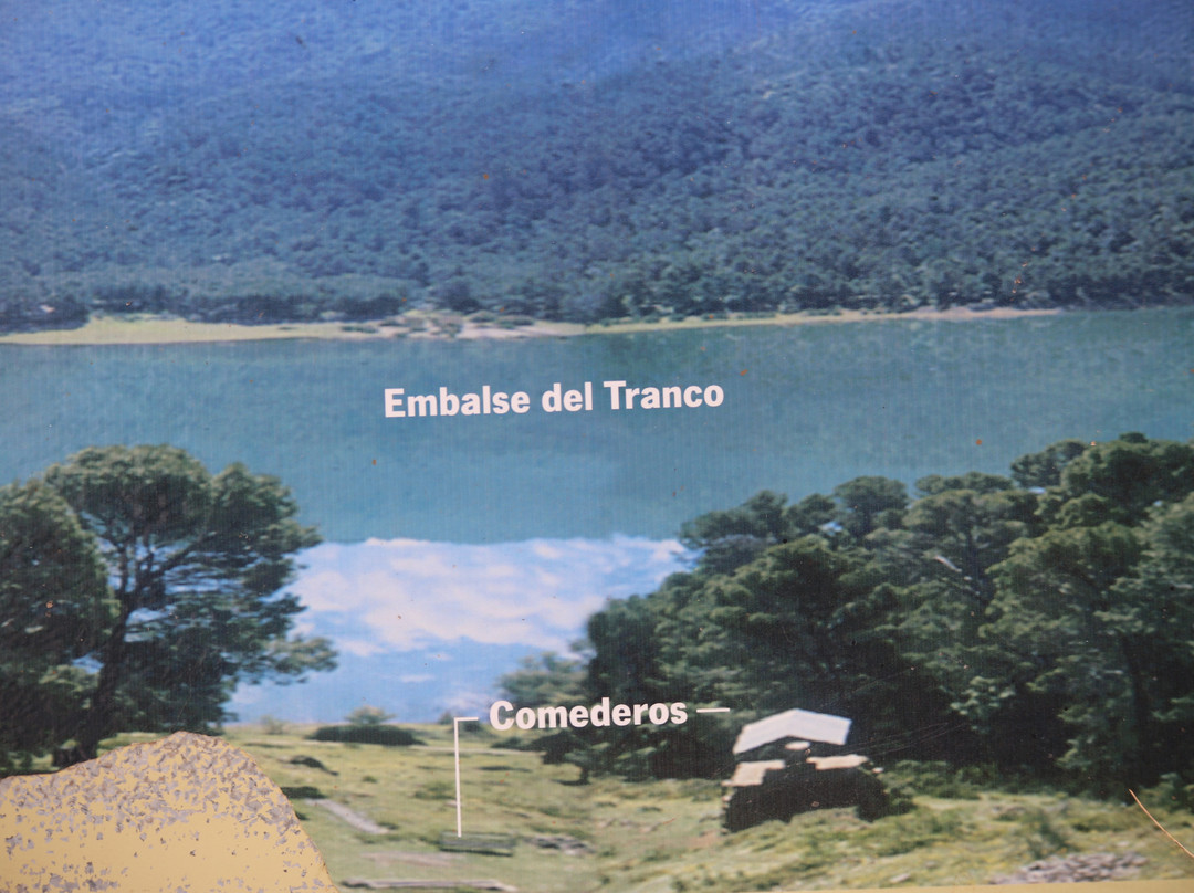 Parque Cinegetico Collado del Almendral景点图片