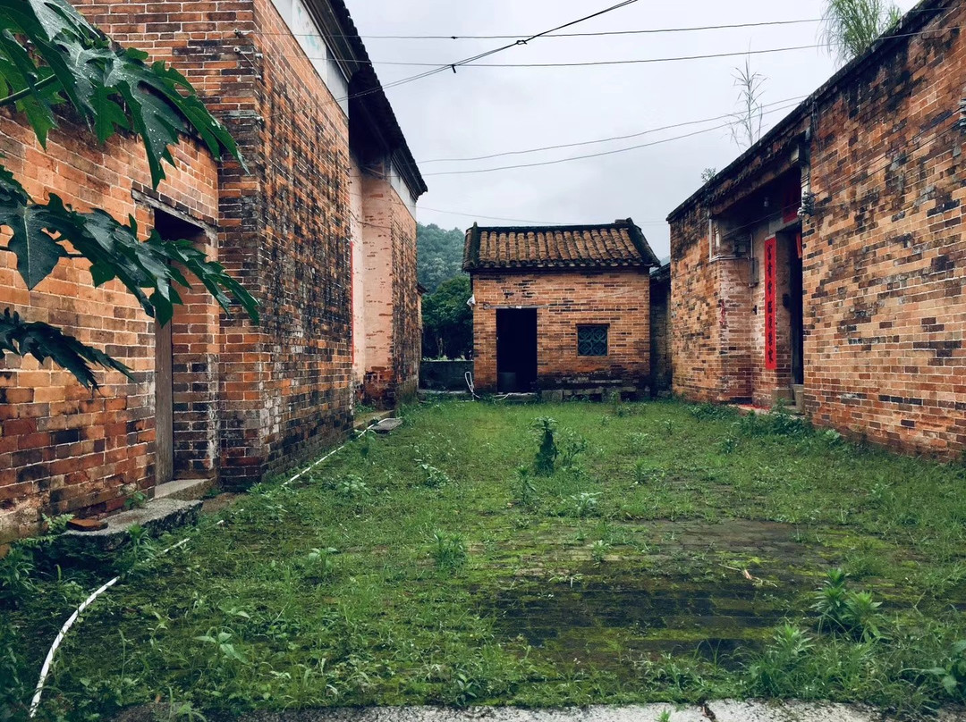 金林水乡景点图片