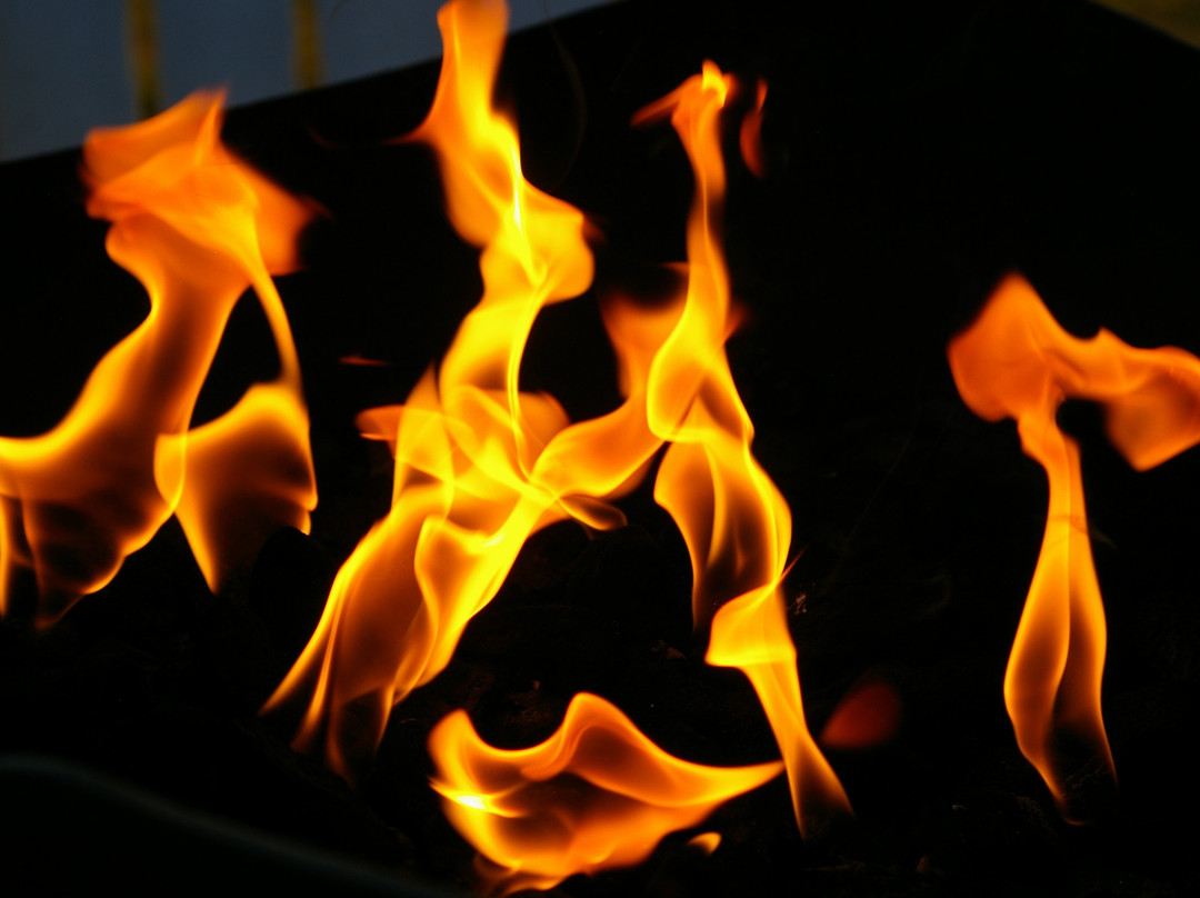 Silver Birches Resort主图