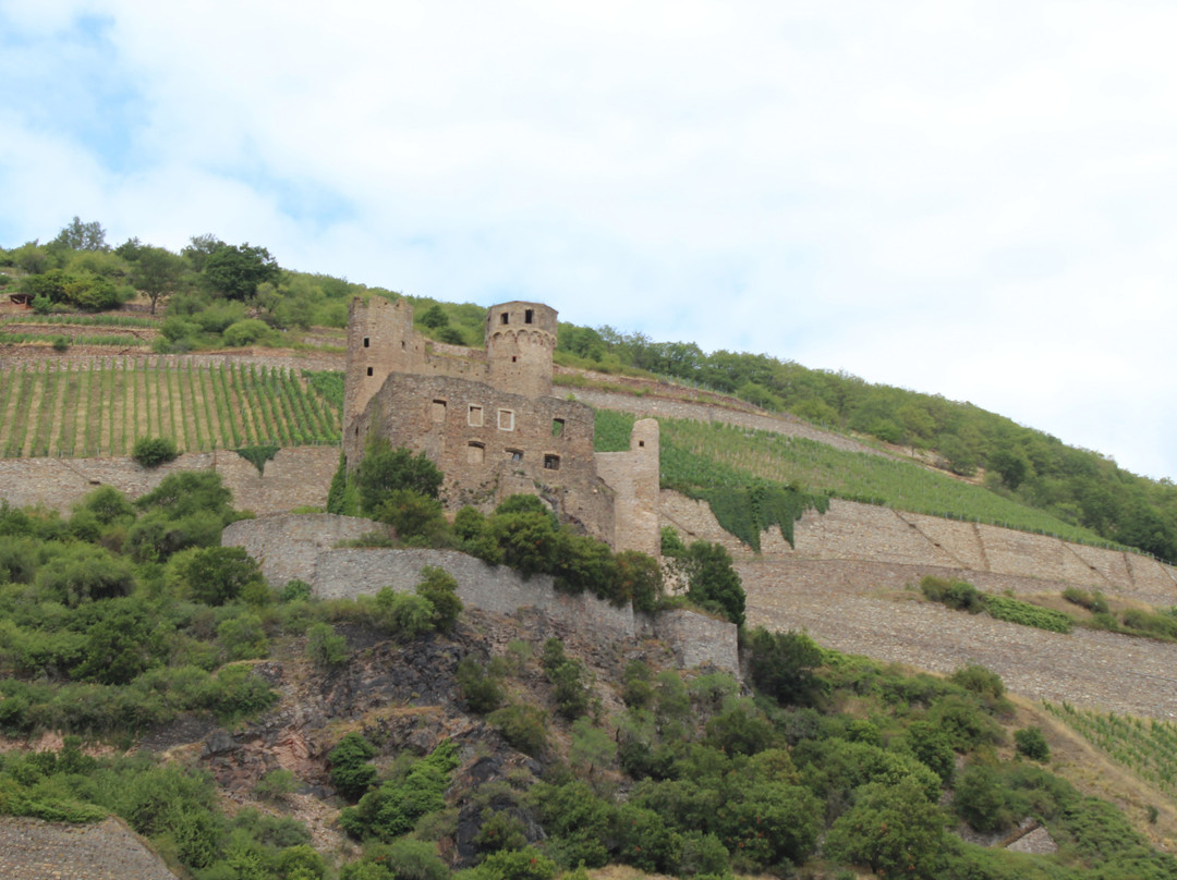 Burg Ehrenfels景点图片