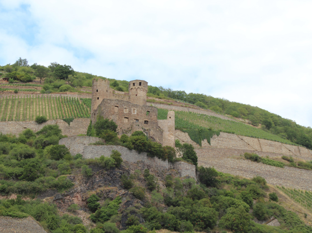 Burg Ehrenfels-吕德斯海姆必去景点