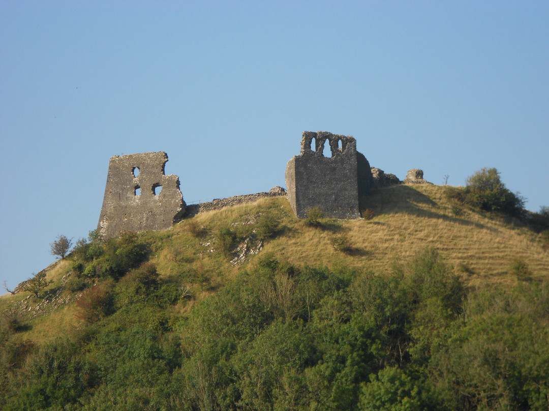 Castell Dryslwyn景点图片